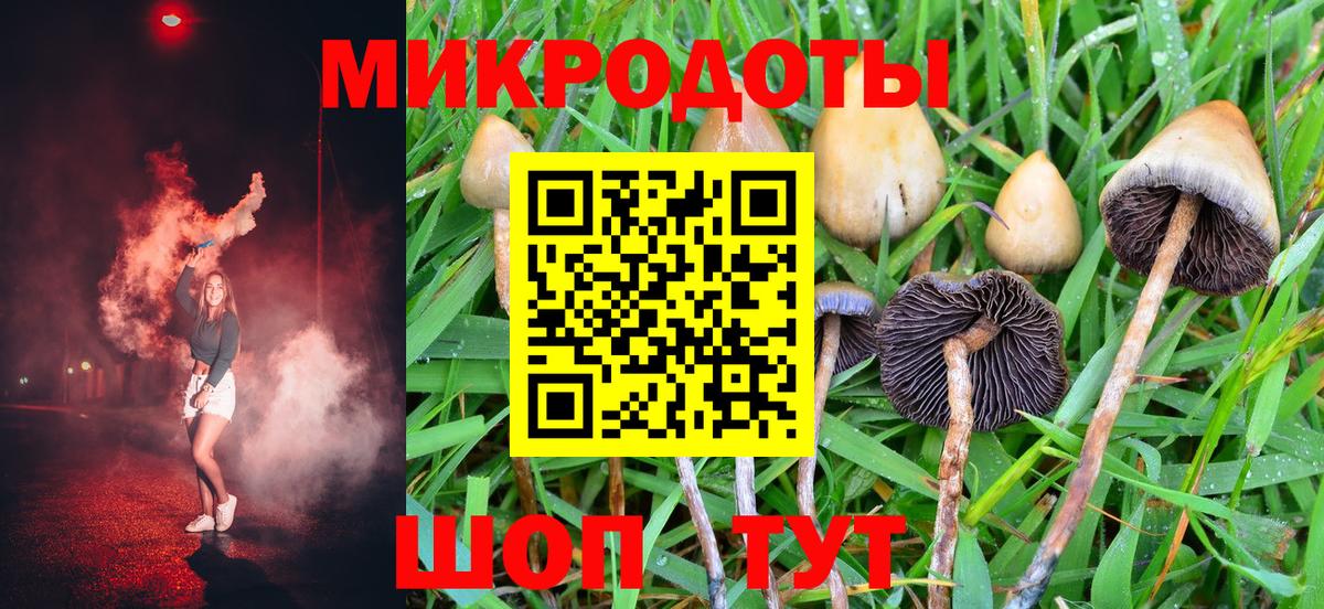 Галлюциногенные грибы Psilocybine cubensis Лениногорск